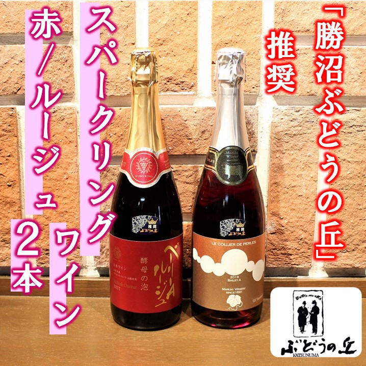 市場 ふるさと納税 B2-656 勝沼ぶどうの丘推奨スパークリングワイン