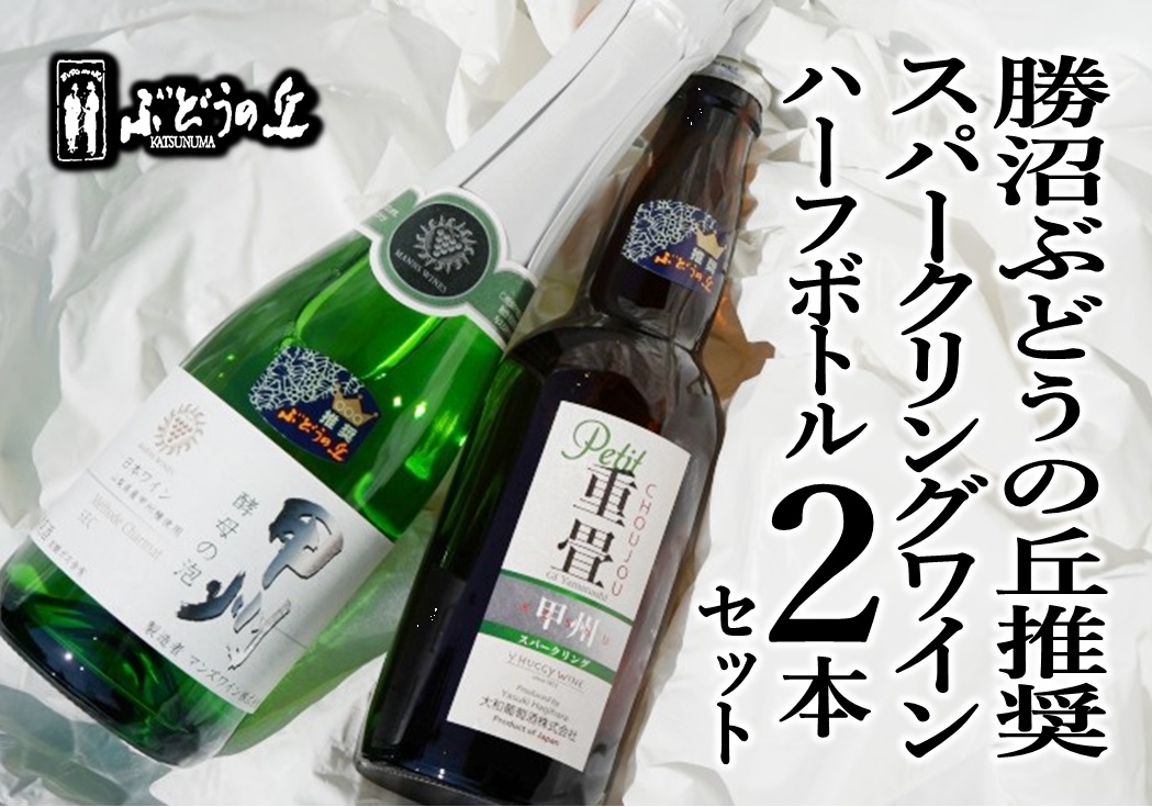 楽天市場】【ふるさと納税】 ワイン 甲州市 ルバイヤート 赤 2本