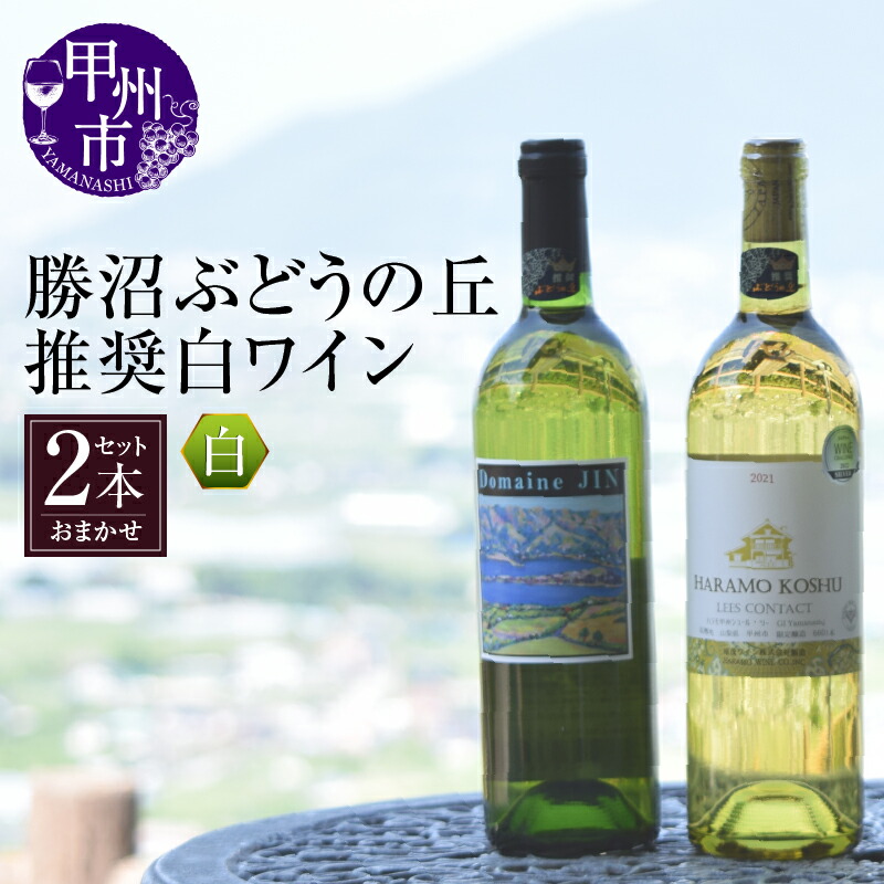 楽天市場】【200円OFFクーポンで1本あたり629円 送料無料】 白