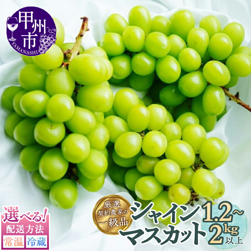 【ふるさと納税】 シャインマスカット 2～5房 選べる内容量 1.2kg以上～2kg以上 選べる配送方法 常温 冷蔵 果物 くだもの フルーツ ぶどう 葡萄 期間限定 8月 9月 10月 2025年発送 山梨 甲州市 人気 新鮮 厳選 社員マスカット （SFL）