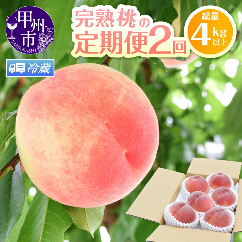【ふるさと納税】 桃 もも 2kg 5～8玉 収穫量 日本一 果物 くだもの フルーツ 白桃 白鳳 農家直送 朝採れ 山梨県 数量限定 ふるさと 人気 定期便 山梨 2025 定期 旬 予約 先行 産地直送 農家 果実 贈答 ギフト スイーツ 家庭用 期間限定 6月 7月 発送  (HK) 【C1-442】