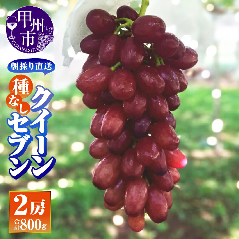 【ふるさと納税】 ぶどう クイーンセブン 2房 400g×2 800g パック 果物 くだもの フルーツ 葡萄 ブドウ 朝採り 直送 種無し 美味しい 2025年発送 人気 採れたて 雨宮ファーム 希少 新品種 山梨県 甲州市 （AF） 【B-459】