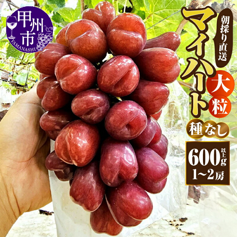 【ふるさと納税】 マイハート 種無し 2026年 先行予約 600g以上 1～2房 ぶどう 大粒 果物 フルーツ 葡萄 赤ぶどう シャインマスカット系 甘い ハートの形 朝採れ 産地直送 希少 10月 発送 期間限定 数量限定 贈答 ギフト 山梨県 甲州市 （AF） 【B11-450】