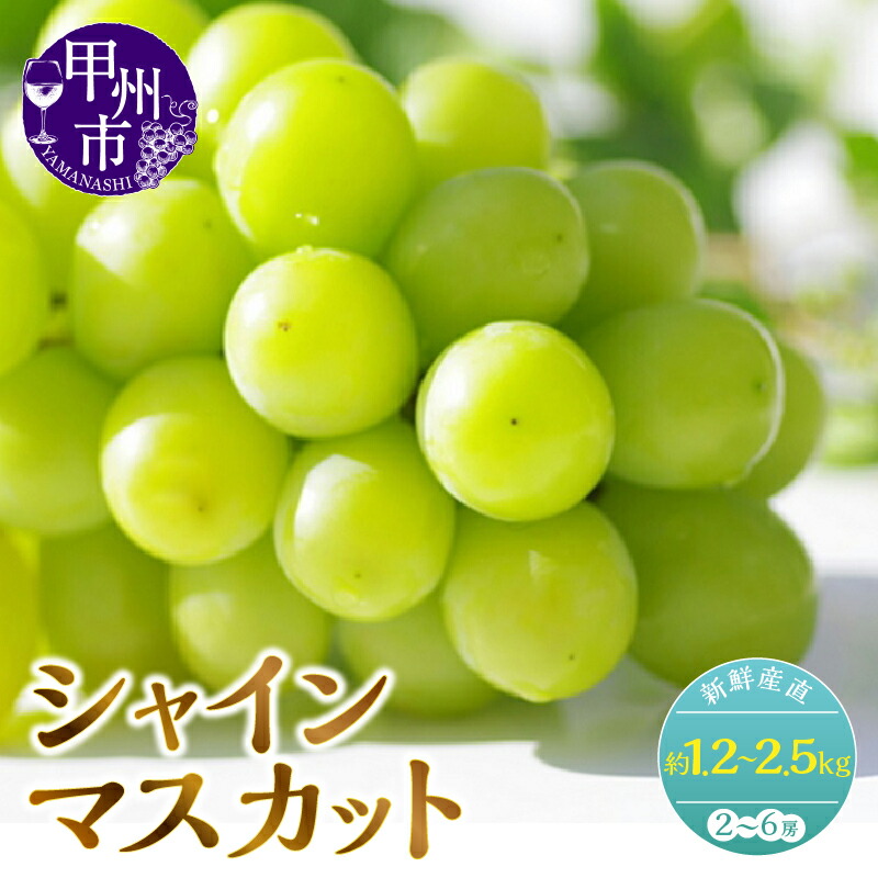 【ふるさと納税】 シャインマスカット 果物 選べる内容量 約1.2kg 約2.5kg 2～6房 人気 新鮮 産直 8月 9月 10月 発送 2025年発送 くだもの フルーツ 葡萄 ぶどう 産地直送 甘い 大きい 果実 山梨県 甲州市  期間限定 社員マスカット （KSF）