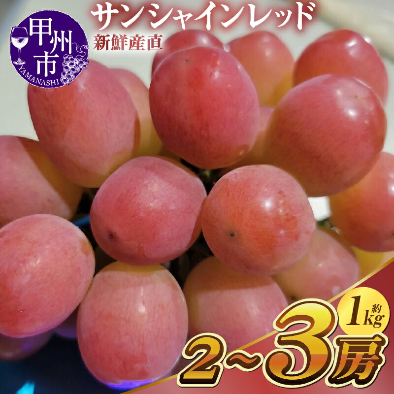 【ふるさと納税】 サンシャインレッド 2026年 先行予約 約1kg 2～3房 果物 フルーツ ぶどう ブドウ 赤系 期間限定 数量限定 新鮮 産直 産地直送 8月 9月 10月 発送 贈答 山梨県 限定 品種 人気 シャイン 赤系 甲州市 シャインマスカット × サニードルチェ （KSF） 【C-462】