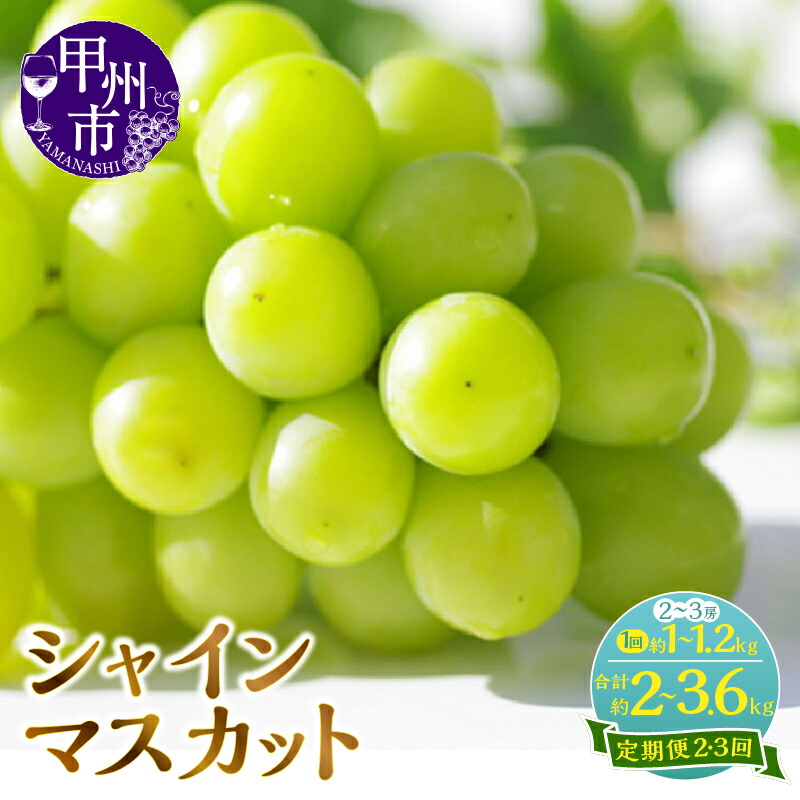 【ふるさと納税】 シャインマスカット 果物 定期便 選べる 2回 3回 約1kg～1.2kg 2～3房 期間限定 2025年発送 8月 9月 10月 発送 人気 フルーツ 葡萄 ぶどう シャイン 産地直送 新鮮 旬 贈答 山梨県 甲州市 社員マスカット （KSF）
