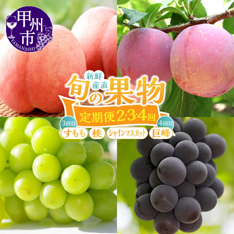 【ふるさと納税】 フルーツ 果物 定期便 選べる 2回 3回 4回 桃 約1.5kg 約2kg 4～8玉 シャインマスカット 約1kg 約1.2kg 2～3房 すもも 約1.5kg 9～13個 巨峰 約1.2kg 2～4房 期間限定 2025年発送 白鳳系 白桃系 もも ぶどう スモモ 山梨県 社員マスカット 甲州市 （KSF）