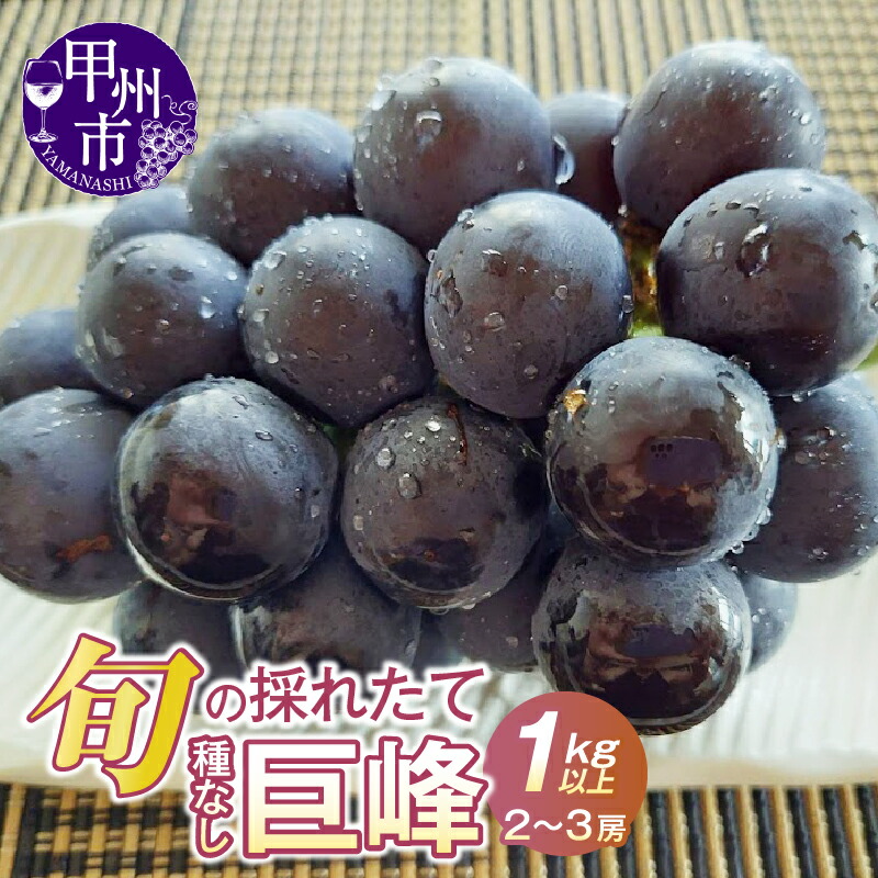【ふるさと納税】 巨峰 種無し 1.0kg以上 2～3房  黒系 葡萄 ぶどう 甘い 大きい 果実 くだもの フルーツ 人気 黒ブドウ 果物 冷蔵 山梨県 産地直送 甲州市 期間限定 数量限定 贈答 ギフト 家庭用 8月 9月 発送 2025年発送 （HO） 【B12-148】