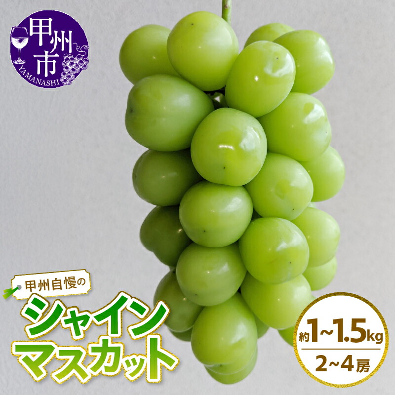 【ふるさと納税】 シャインマスカット 2房 ～ 4房 選べる容量 約1kg 約1.2kg 約1.5kg 果物 葡萄 ぶどう ブドウ フルーツ 甲州市産 果実 新鮮 旬 人気 2025年発送 数量限定 期間限定 8月 9月 10月 発送 山梨県 甲州市 社員マスカット （NK）