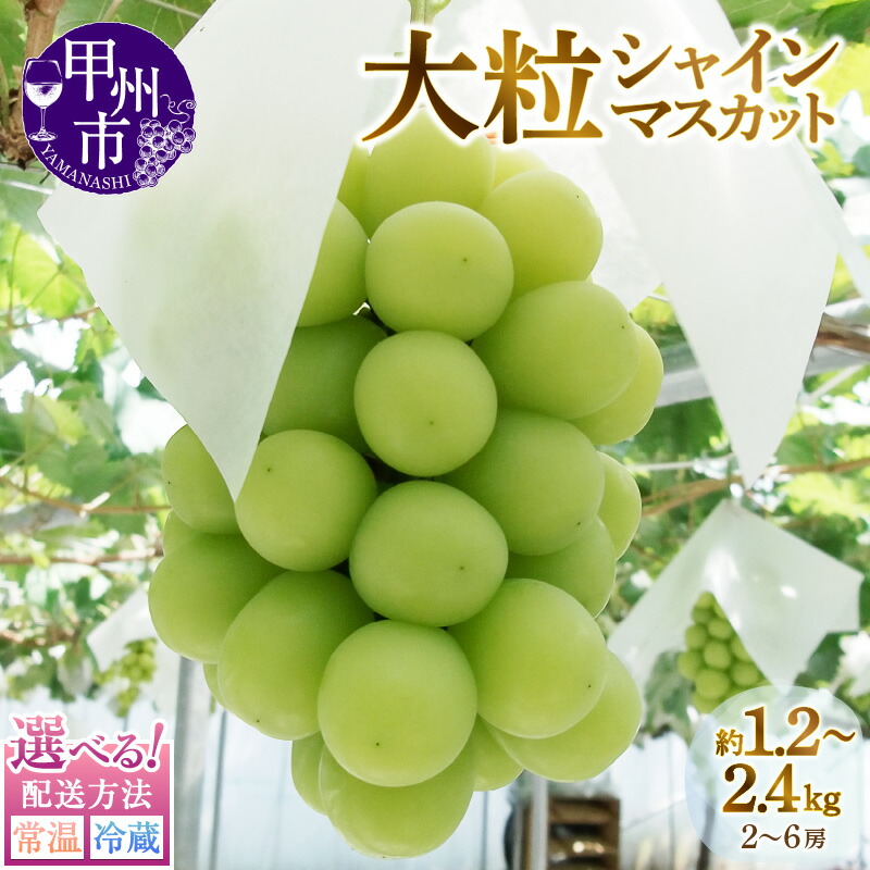 【ふるさと納税】 シャインマスカット 果物 選べる容量 約1.2kg 約2.4kg 2～6房 選べる配送方法 常温 冷蔵 山梨 甲州市産 期間限定 2025年発送 8月 9月 10月 発送 人気 厳選 大粒 フルーツ ぶどう 葡萄 果実 くだもの マスカット 社員マスカット （MG）