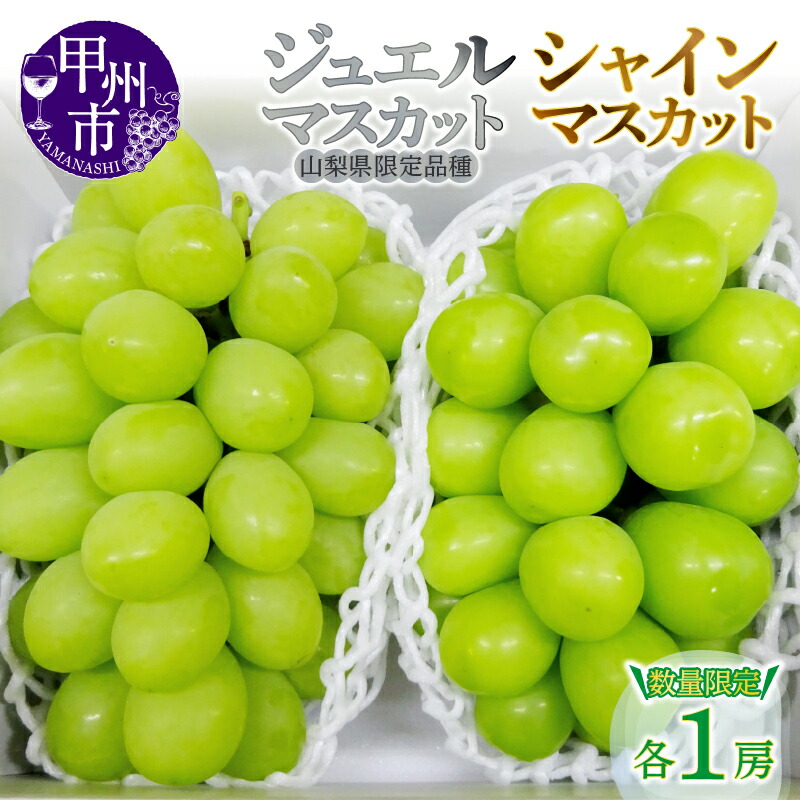 【ふるさと納税】 ジュエルマスカット シャインマスカット 果物 2房 約1.3kg 食べ比べ セット 数量限定 8月下旬より順次発送 2025年発送  山梨 産地直送 フルーツ 葡萄 ぶどう ブドウ 甘い 大きい 果実 くだもの 人気 甲州 社員マスカット  (MG) 【B15-480】