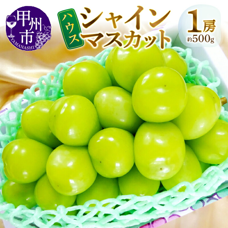 【ふるさと納税】 ハウス シャインマスカット 果物 約500g 1房 甲州市産 超早期 初夏 【2025年発送】山梨県産 産地直送 フルーツ 葡萄 甘い 大きい 果実 人気 6月 配送予定 新鮮 贈答 ギフト 家庭用 期間限定 数量限定 社員マスカット 加温ハウス 6月 発送  (MG) 【C-450】