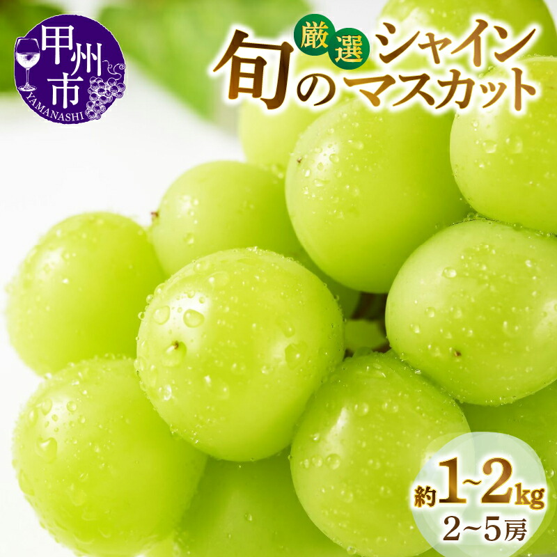 【ふるさと納税】 シャインマスカット 選べる内容量 約1kg～約2kg 2～5房 果物 山梨県 甲州市産 厳選 8月 9月 10月 発送 2025年発送 期間限定 旬 くだもの フルーツ 葡萄 ぶどう 種なし 大粒 甘い 大きい 新鮮 果実 人気 社員マスカット （MG）
