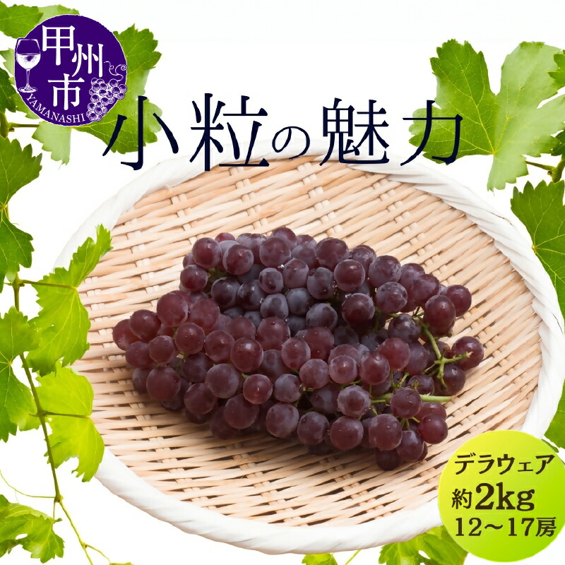 【ふるさと納税】 ぶどう デラウェア デラウエア 果物 約2kg 12～17房 2L～L 種無し 大人気 フルーツ 葡萄 期間限定 数量限定 贈答 ギフト 家庭用 7月 8月 発送 山梨県 甲州市 【2025年発送】 （MG） 【B11-801】