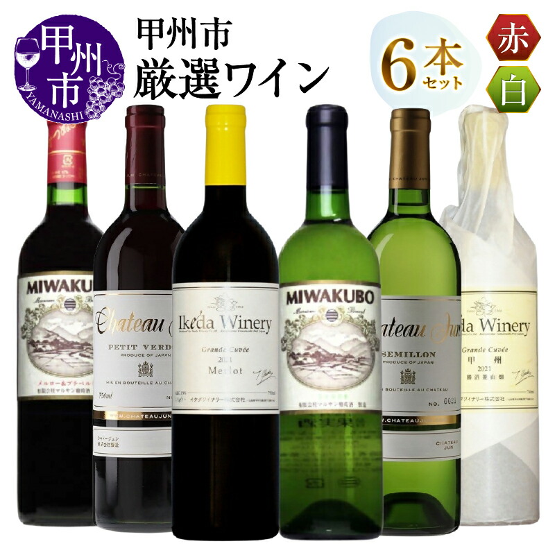 【ふるさと納税】 ワイン 赤 白 6本 セット 720ml 750ml 赤ワイン 白ワイン 厳選 飲み比べ 酒 お酒 アルコール 山梨 母の日 父の日 記念日 ギフト 山梨県 甲州市 （MG） 【H9-480】