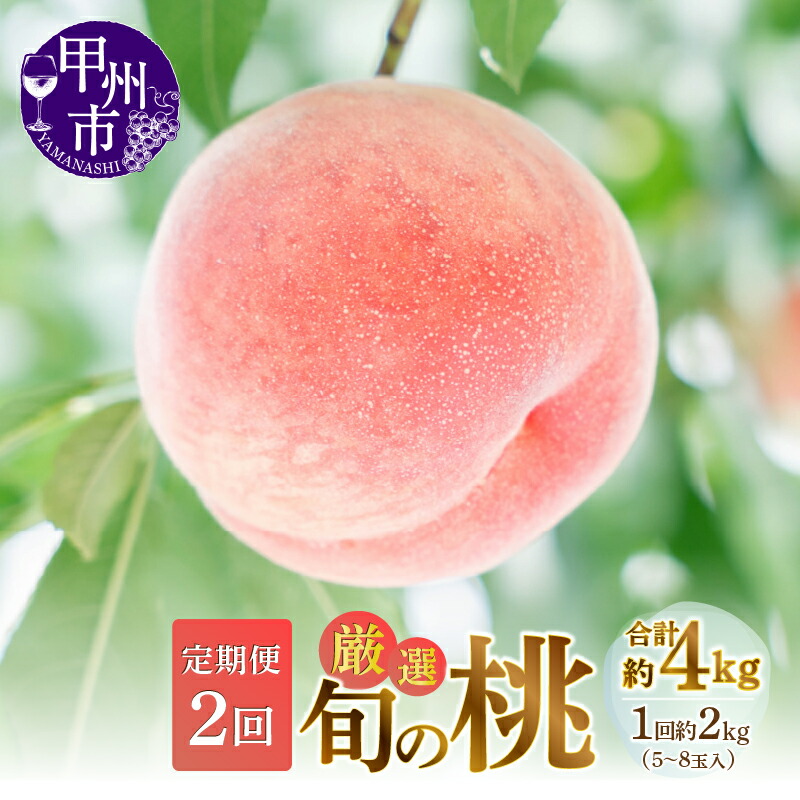 【ふるさと納税】 桃 定期便 約2kg×2回 5～8玉 厳選 旬 果物 くだもの フルーツ もも 果実 2025年発送 人気 新鮮 白鳳系 白桃系 甲州市 山梨 期間限定 数量限定 6月 7月 8月 発送 盛り合わせ 贈答 ギフト 家庭用 M's gift （MG） 【C-451】