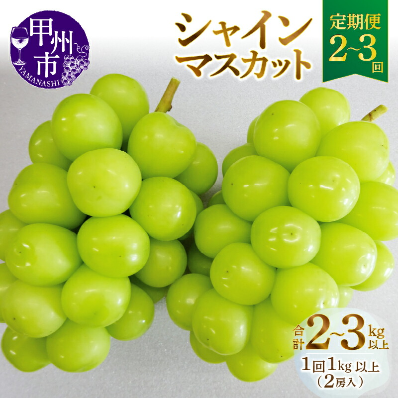 【ふるさと納税】 シャインマスカット 果物 定期便 2回 3回 甲州市産 旬 選べる定期便 1kg以上 2房×2回 2房×3回 山梨県産 期間限定 2025年発送 9月 10月 発送 産地直送 フルーツ 葡萄 ぶどう ブドウ 甘い 果実 人気 新鮮 社員マスカット （MG）