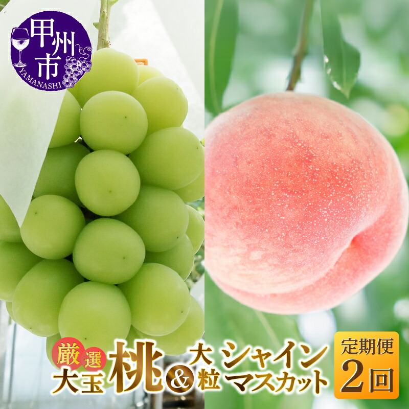 【ふるさと納税】 フルーツ 定期便 2026年 先行予約 2回 桃 約2kg 5～6玉 シャインマスカット 約1.2kg 2～3房 果物 もも 大玉 白鳳系 白桃系 葡萄 ぶどう 大粒 くだもの 期間限定 ギフト 贈答 家庭用 人気 おすすめ 新鮮 山梨県 甲州市 社員マスカット （MG） 【C1-482】