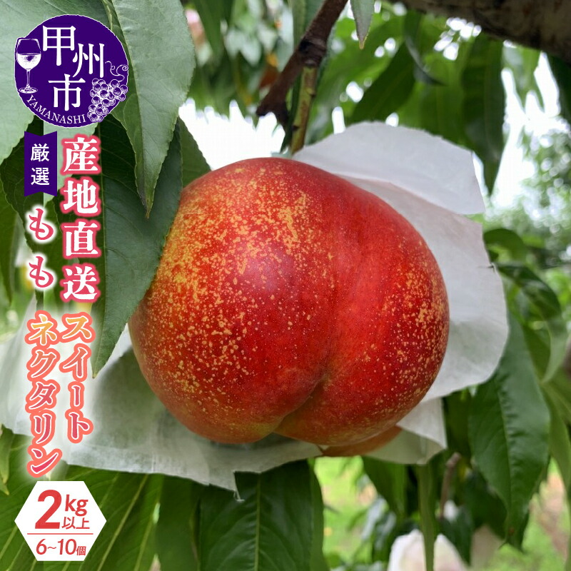 【ふるさと納税】 果物 ネクタリン スウィートネクタリン プラム 産地直送 2kg以上 （6～10玉） 厳選 毛なし桃 フルーツ くだもの 甘味 酸味 旬 もも モモ  2025年 7月 8月 発送 期間限定 数量限定 ギフト 贈答 山梨県 甲州市 （KKH） 【C-415】