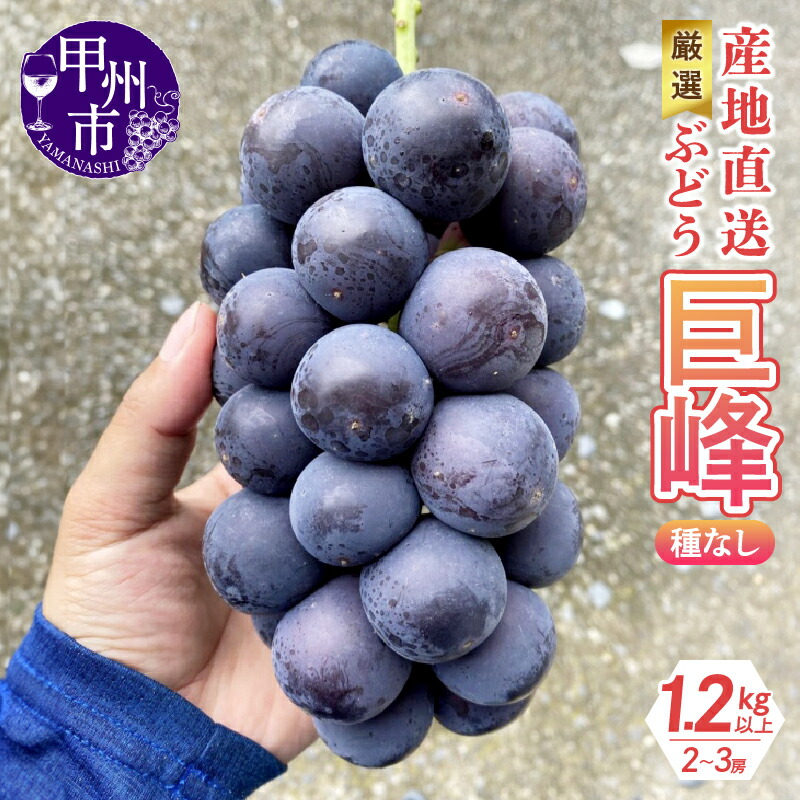【ふるさと納税】 巨峰 黒ぶどう 果物 種なし 1.2kg 2～3房 厳選 産地直送 フルーツ ブドウ 果実 くだもの 期間限定 数量限定 家庭用 ギフト 贈答 2025年発送 8月 9月 発送 山梨県 甲州市 （KKH） 【B-492】