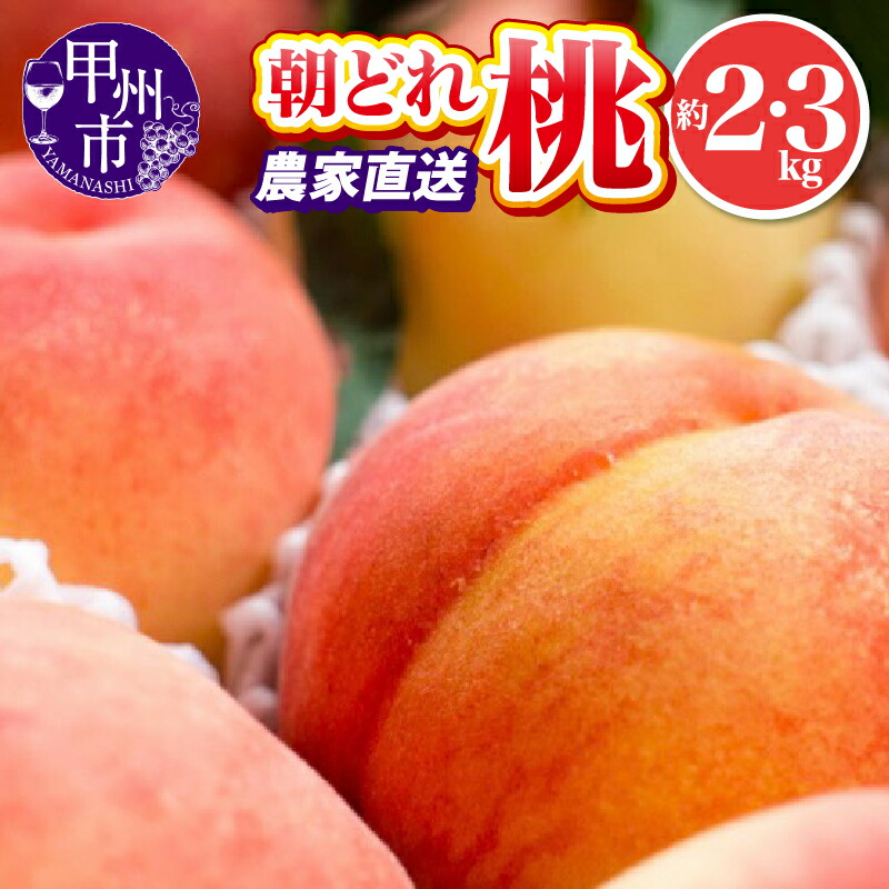 【ふるさと納税】 桃 約2kg 約3kg 大玉 4～7玉 7～11玉 果物 もも フルーツ 甲州市 厳選 朝どれ 果実 くだもの 池田青果 山梨県 2025年発送 白桃系 白鳳系 期間限定 数量限定  盛り合わせ 6月 7月 8月 9月 発送  (IS)
