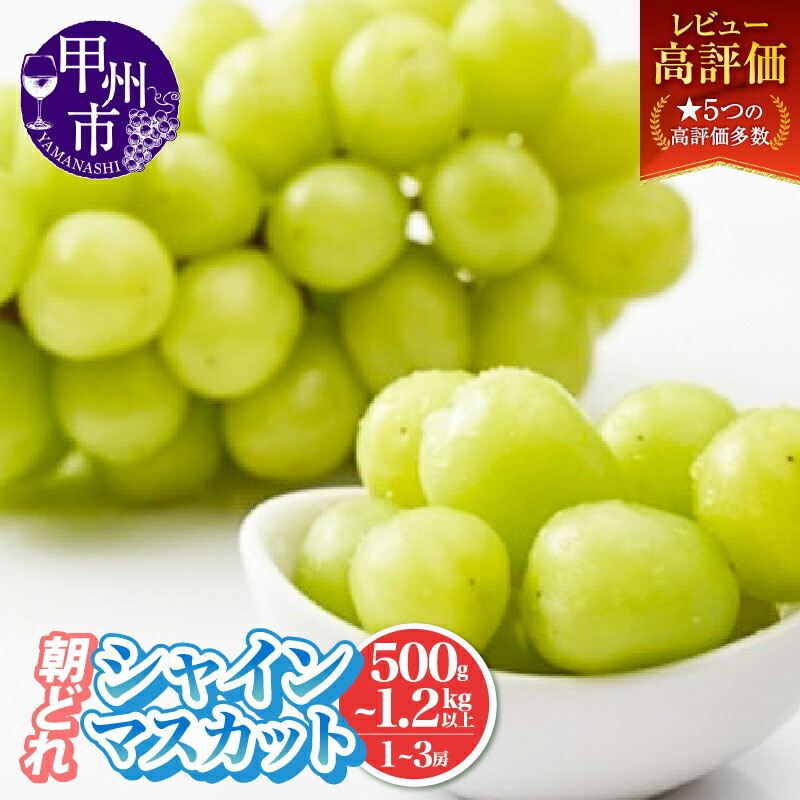 【ふるさと納税】 シャインマスカット 500g～1.2kg以上 1～3房 果物 選べる 内容量 山梨県産 厳選 農家直送 期間限定 旬 8月 9月 10月 11月 発送 2025年発送 フルーツ ぶどう 甘い 大きい 朝どれ 果実 くだもの 人気 甲州市 山梨 社員マスカット 10000  (IS)