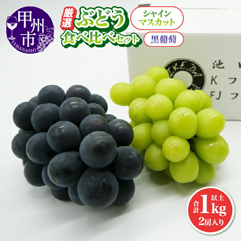 【ふるさと納税】 ぶどう シャインマスカット 黒葡萄 計1.0kg以上 2房入り 果物 マスカット 巨峰 ピオーネ 甲斐の黒まる ブラックビート 食べ比べ セット フルーツ 2025年発送 期間限定 数量限定 8月 9月 10月 発送 新鮮 くだもの ブドウ 山梨 甲州市 （IS） 【B-474】