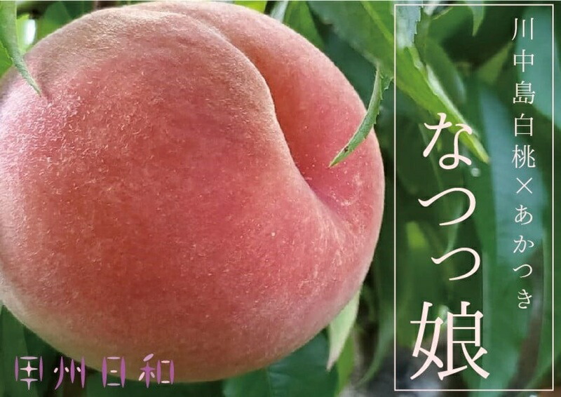 【ふるさと納税】 桃 なつっこ 約1.8kg 果物 もも フルーツ 白桃 朝採れ モモ 果実 2025年発送 期間限定 大玉 ジューシー 甘い ギフト 贈答 家庭用 7月 8月 発送 山梨 甲州市 （KSB） 【C-132】