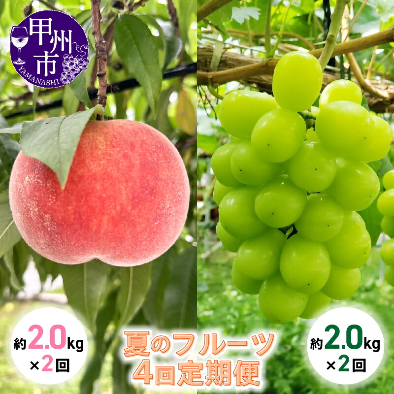 【ふるさと納税】 定期便 フルーツ シャインマスカット 桃 約2.0kg×2回 全4回 果物 甲州市産 くだもの もも マスカット ギフト 贈答 旬 新鮮 山梨県 甲州市 2026年発送 6月 7月 8月 9月 10月 発送 社員マスカット （KSB） 【H9-130】