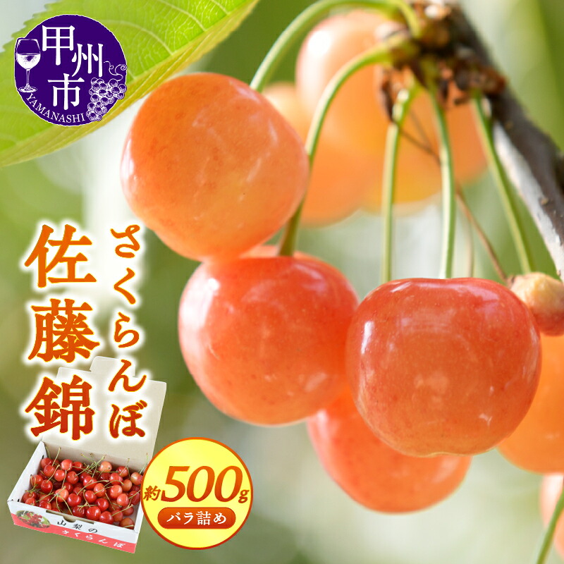 【ふるさと納税】 さくらんぼ 佐藤錦 2026年 約500g 化粧箱 バラ詰め 5月 6月 発送 フルーツ 果物 甲州市産 クール 冷蔵 安心 安全 新鮮 宿沢フルーツ農園 ギフト 家庭用 山梨県 甲州市 (SF) 【B12-144】