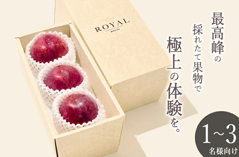 【ふるさと納税】 すもも 貴陽 3個入り 約800g 果物 フルーツ スモモ 2025年発送 産地直送 大玉 7月 8月 発送 数量限定 期間限定 自然農法 山梨 甲州市産 （BNC） 【B-488】
