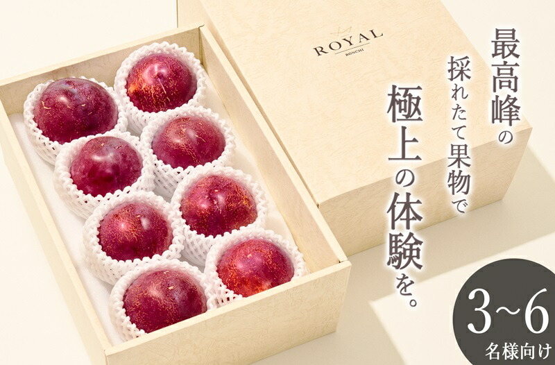 【ふるさと納税】 すもも 貴陽 8個入り 約2.1kg 果物 フルーツ スモモ 2025年発送 産地直送 大玉 7月 8月 発送 数量限定 期間限定 自然農法 山梨 甲州市産 （BNC） 【C4-488】