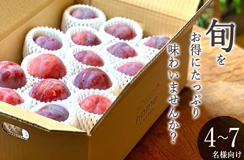 【ふるさと納税】 すもも 訳あり 貴陽 14～20個入り 約3kg 果物 フルーツ スモモ 2025年発送 産地直送 7月 8月 発送 数量限定 期間限定 自然農法 山梨 甲州市産 （BNC） 【C9-492】