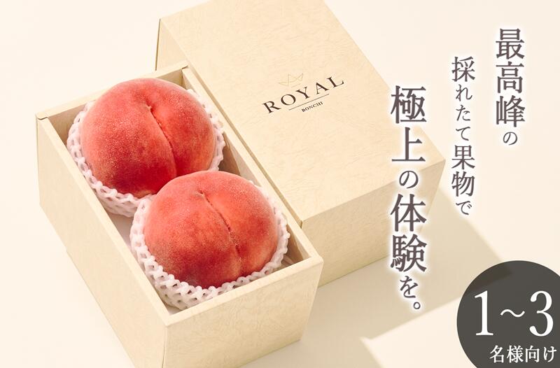 【ふるさと納税】 桃 2個入り 約900g 果物 フルーツ もも くだもの 果実 2025年発送 甲州市産 白鳳系 白桃系 大玉桃 甘い 産地直送 期間限定 数量限定 6月 7月 8月 発送 贈答 ギフト 家庭用 自然農法 山梨県 （BNC） 【B-444】