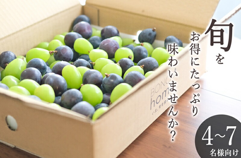 【ふるさと納税】 ぶどう シャインマスカット ピオーネ 粒詰め MIX 約2kg 果物 フルーツ 葡萄 ブドウ くだもの 2025年発送 甲州市産 盛り合わせ 甘い 果実 人気 冷蔵 クール 産地直送 期間限定 8月下旬～9月下旬頃 発送 自然農法 山梨 社員マスカット （BNC） 【D-175】