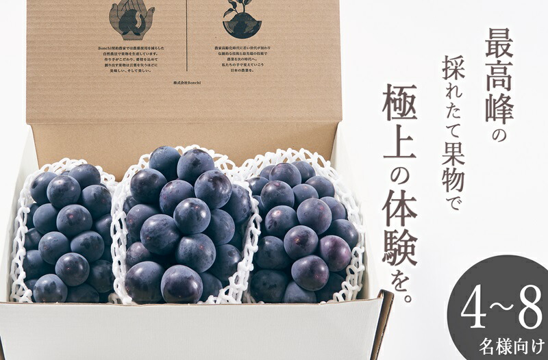 【ふるさと納税】 巨峰 2026年発送 約1.5kg 3房 果物 フルーツ 葡萄 黒ぶどう ぶどう 甲州市産 大粒 種無し 産地直送 数量限定 期間限定 8月 9月 発送 贈答 ギフト 家庭用 自然農法 山梨 （BNC） 【D5-111】