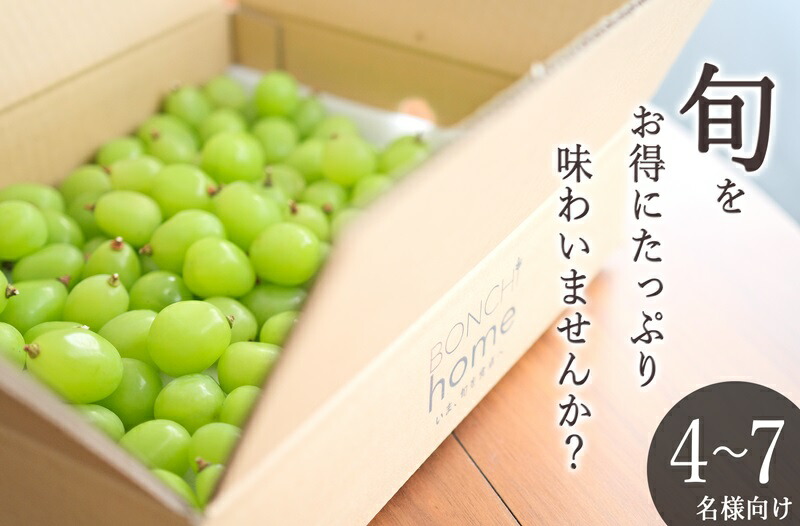 【ふるさと納税】 シャインマスカット 粒詰め 約2kg 果物 フルーツ ぶどう 葡萄 マスカット 果実 くだもの 2025年発送 産地直送 冷蔵 クール 甲州市産 人気 甘い たっぷり 期間限定 8月下旬～9月下旬頃 発送 自然農法 山梨 社員マスカット （BNC） 【D-176】