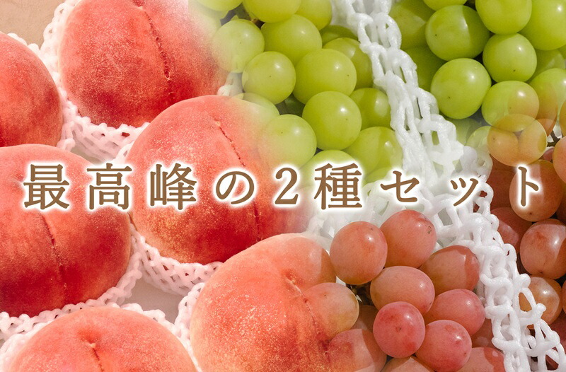 【ふるさと納税】 定期便 フルーツ 2回 2026年 桃 約5kg 10～13玉 シャインマスカット サンシャインレッド 約2.2kg 各2房 自然農法 産地直送 期間限定 冷蔵 クール 果物 果実 もも ぶどう 贈答 ギフト 家庭用 山梨県 甲州市 社員マスカット （BNC） 【H2-425】｜山梨県甲州市