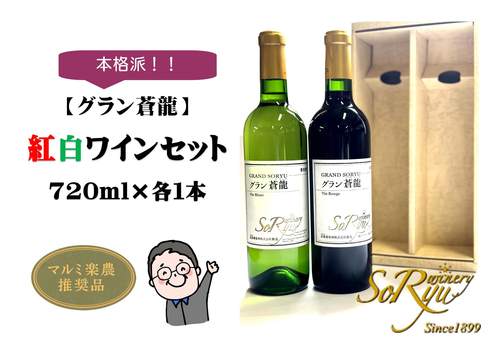 【ふるさと納税】 ワイン 赤 白 2本 セット 各1本 720ml 蒼龍葡萄酒 グラン蒼龍 赤ワイン 白ワイン ミディアムボディ 辛口 アルコール 酒 お酒 記念日 父の日 母の日 ギフト 贈答 山梨県 甲州市 （MRN） 【B12-312】