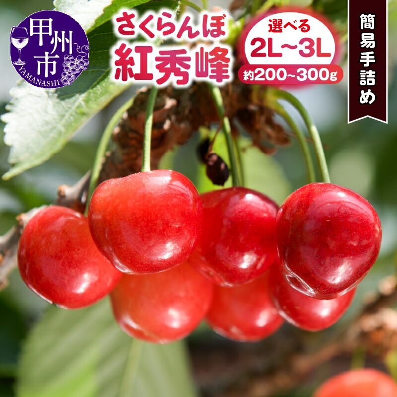 【ふるさと納税】  さくらんぼ 紅秀峰 簡易手詰め 選べる内容量 約200g～約300g 2L～3L 大粒 甘い 高糖度 糖度20度 果物 フルーツ チェリー 山梨県産 甲州市産 旬 人気 ギフト  2025年発送 （DOM）