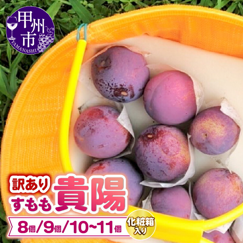 【ふるさと納税】 すもも 貴陽 訳あり 8玉～11玉 選べる 内容量 約1.1kg～約1.9kg 山梨県産 フルーツ 果物 完熟 甘い くだもの スモモ 冷蔵 発送 期間限定 数量限定 化粧箱入り 観光果樹園 童夢 家庭用 2025年発送 山梨県 甲州市 （DOM）