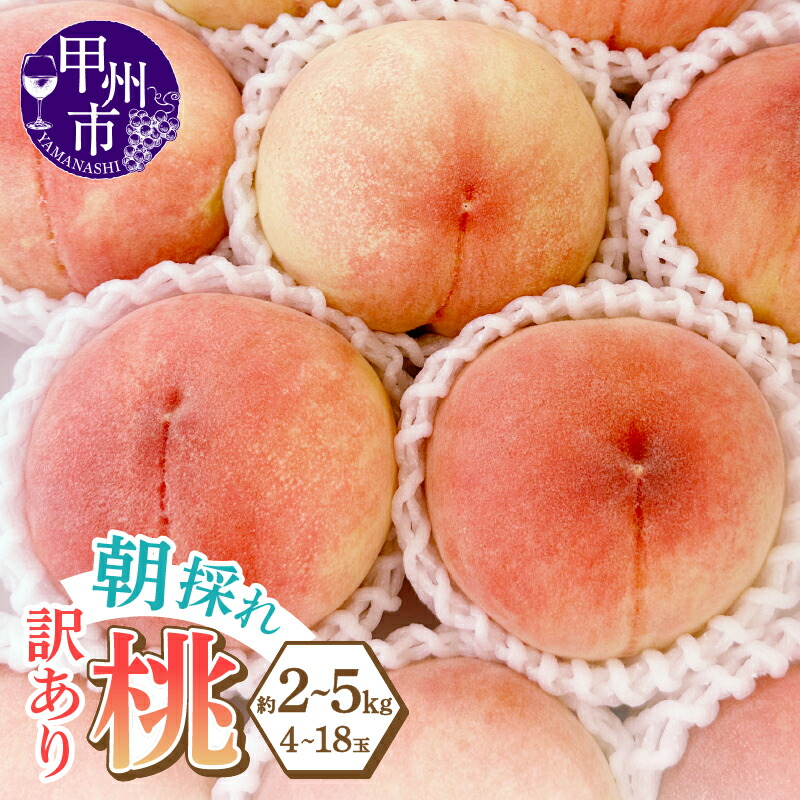 【ふるさと納税】 訳あり 桃 家庭用 選べる内容量 約2kg 約3kg 約5kg 果物 大藤の桃 白鳳系 白桃系 フルーツ 果実 デザート 2025年発送 採れたて 朝どれ 産地直送 新鮮 山梨県 甲州市  わけあり キズ 色ムラ サイズ不揃い期間限定 数量限定 人気 盛り合わせ  (LMS)