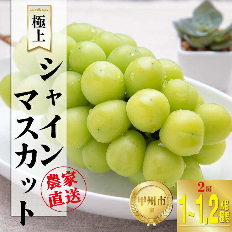 【ふるさと納税】 シャインマスカット 2房 約1kg～1.2kg フルーツ 果物 ぶどう 葡萄 マスカット 2026年発送 冷蔵 クール便 産地直送 8月 9月 10月 発送 期間限定 朝採り 新鮮 甘い 果実 くだもの 甲州市 山梨県 社員マスカット （SFK） 【B15-855】 13,490円