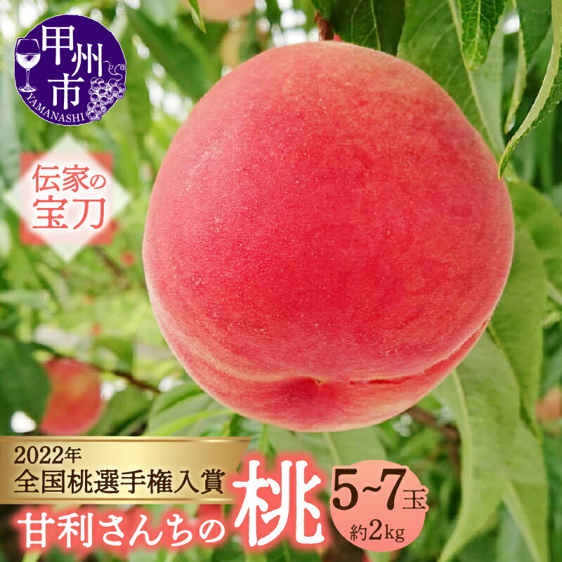 【ふるさと納税】 桃 約2kg 5～7玉 甘利さんちのもも 甘利式農法 2025年発送 7月 8月 発送 期間限定 数量限定 もも 白鳳系 白桃系 果物 くだもの 果実 フルーツ 贈答 家庭用 山梨県 甲州市 （DTD） 【B-835】