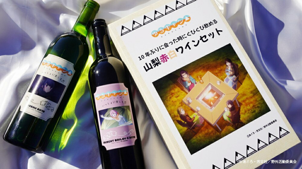 【ふるさと納税】 甲州市 ゆるキャン△ ワイン セット 甲州ワイン 白ワイン 赤ワイン ベリーA ケアフィットファーム 10年ぶりに会った時にぐびぐび飲める山梨赤白ワイン 2本 日本ワイン 勝沼 辛口 母の日 父の日 記念日 ギフト 【B15-720】（SKY）画像
