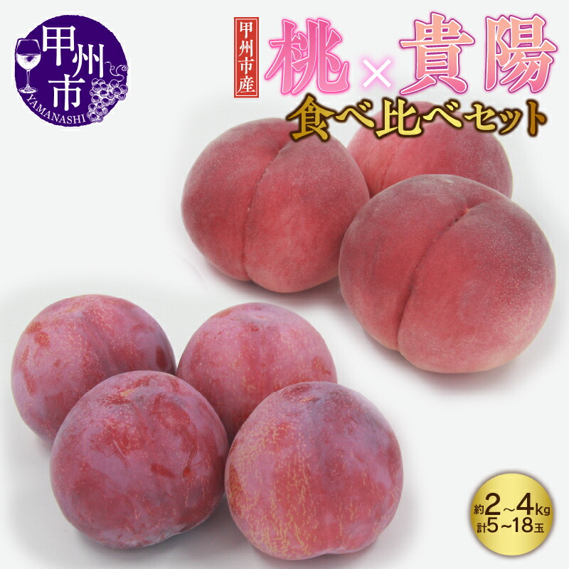 楽天市場】【ふるさと納税】 すもも 貴陽 プラム 約2kg 7~10個 楽天市場】【ふるさと納税】 すもも 貴陽 プラム 約2kg 7~10個