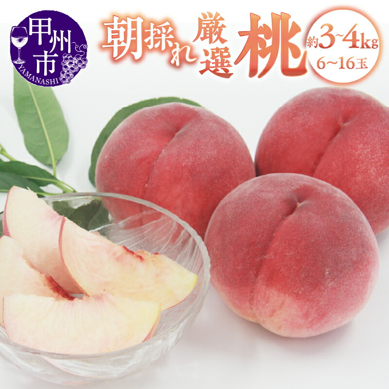 【ふるさと納税】 桃 選べる内容量 約3kg 約4kg 6～16玉 果物 数量限定 白鳳系 白桃系 2025年発送 期間限定 甲州市産 山梨 厳選 もも 産地直送 旬の桃 フルーツ 盛り合わせ 人気 新鮮 贈答 ギフト 家庭用 6月下旬より発送 （APX）