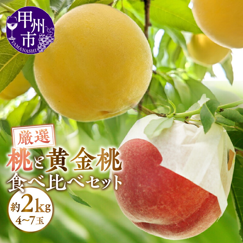 【ふるさと納税】 桃 黄金桃 約2kg 4～7玉 ゴールデンピーチ 果物 食べ比べ セット もも 2025年発送 新鮮 人気 白鳳系 白桃系 甲州市産 厳選 産地直送 フルーツ 山梨 期間限定 数量限定 7月中旬より発送 盛り合わせ (APX) 【B12-196】