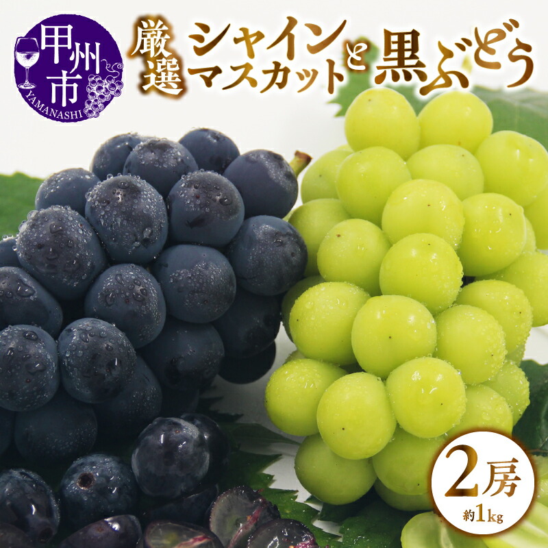 【ふるさと納税】 シャインマスカット 黒ぶどう 2房 約1.0kg 2種詰合せ セット 果物 厳選 人気 葡萄 ブドウ フルーツ 数量限定 期間限定 8月 9月 10月 発送 2025年発送 山梨 甲州市産 社員マスカット （APX） 【B-199】