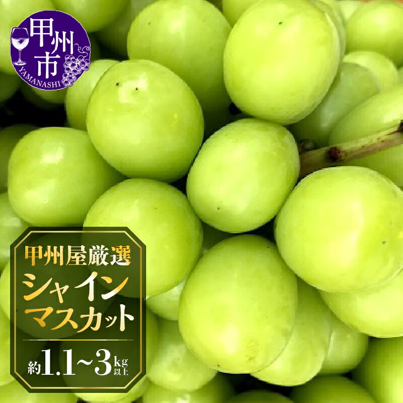 【ふるさと納税】 シャインマスカット 選べる内容量 約1.1kg 約2.2kg 3kg以上 2～6房 期間限定 数量限定 2025年発送 8月 9月 10月 発送 人気 契約栽培 フルーツ 果物 葡萄 ぶどう シャイン 産地直送 朝どれ 新鮮 厳選 種無し 高級 青果品 甲州屋 山梨 甲州市